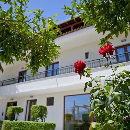 Villa Qeli Gjirokastër Eksteriør bilde