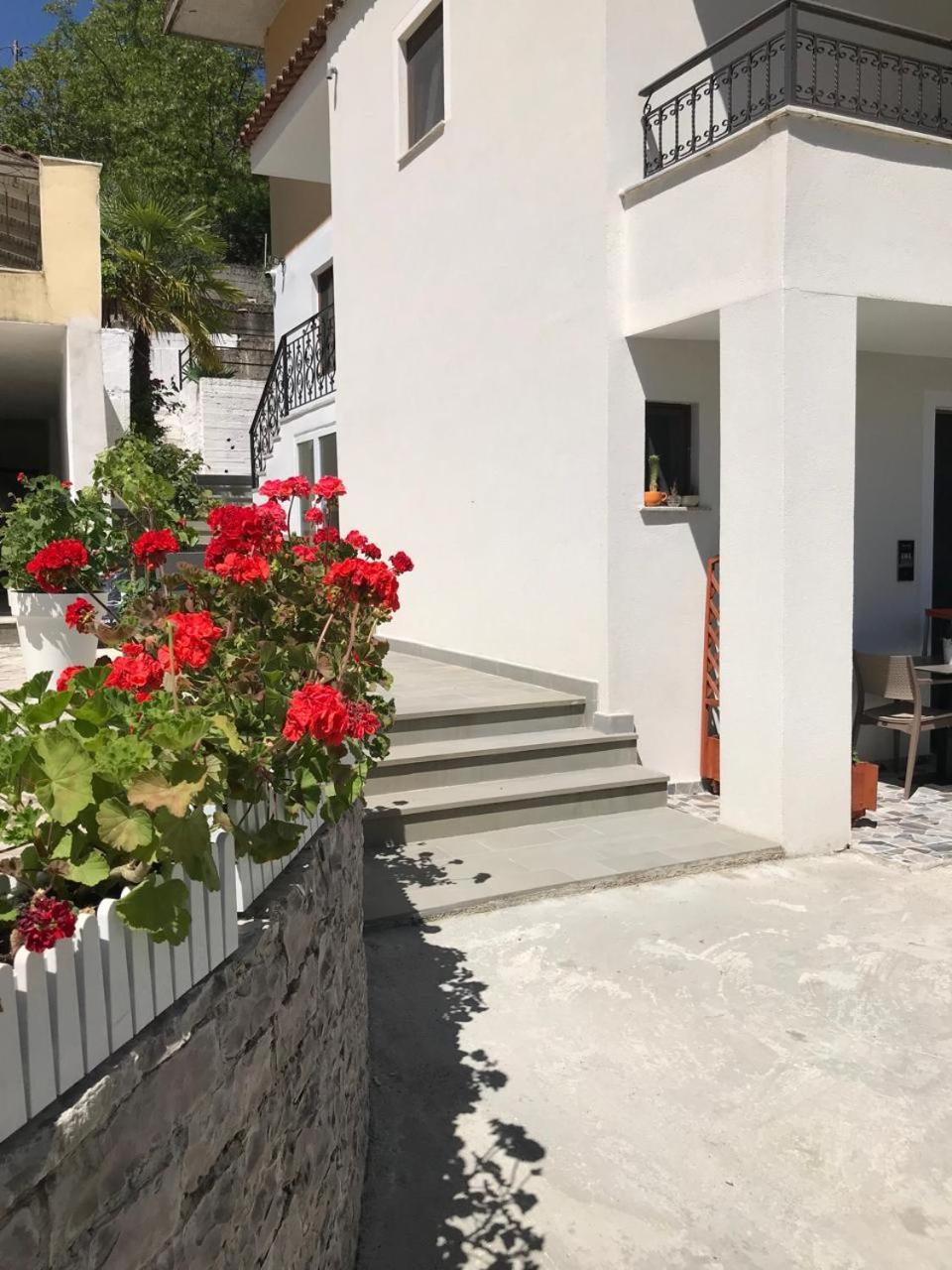 Villa Qeli Gjirokastër Eksteriør bilde